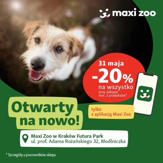piesek na zielonym tle 