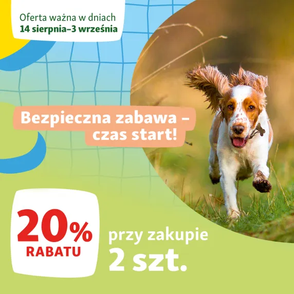 biegnący piesek 
