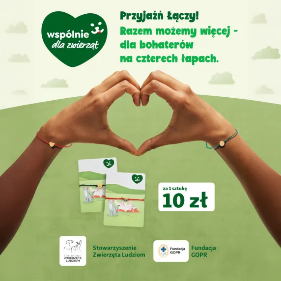 Ręce tworzące serce na zielonym tle.