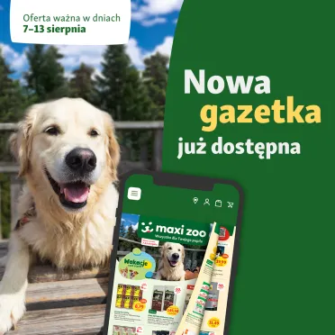 piesek i wizerunek telefonu z nową gazetką