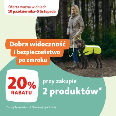 Kobieta na spacerze z psem