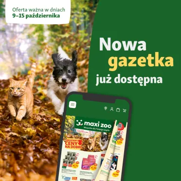 Kot i pies biegające po liściach.